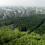 «Зелёный щит» Перми сохранит не только город, но и сами леса